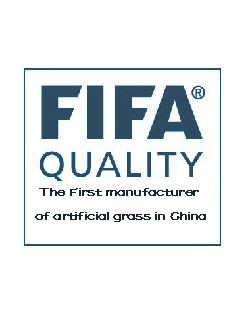 Качество FIFA